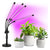 Pflanzenlampe